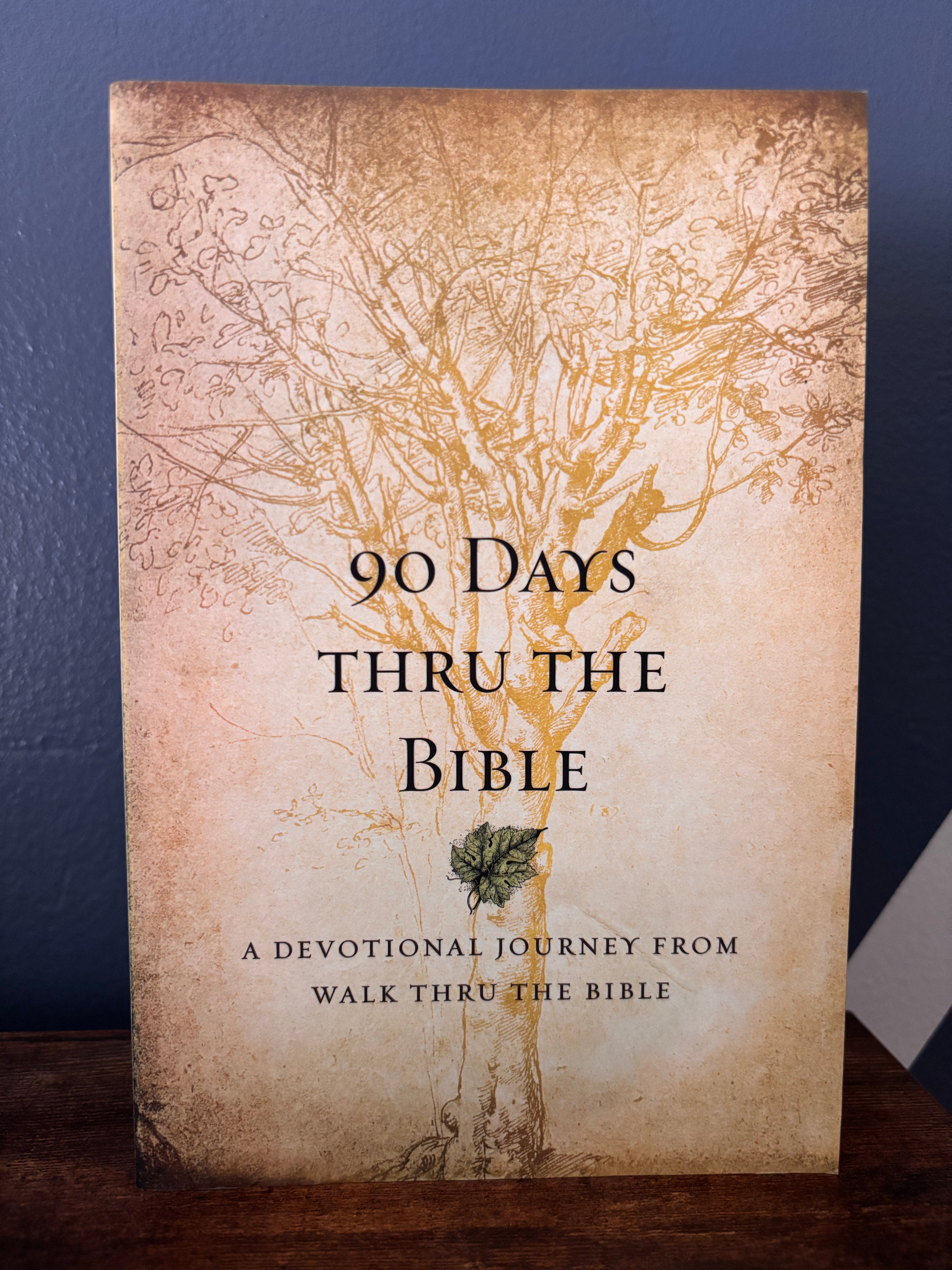 90 Days Thru The Bible A Devotional Journey From Walk Thru The Bible